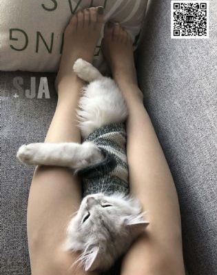 裙子下面有怪兽
